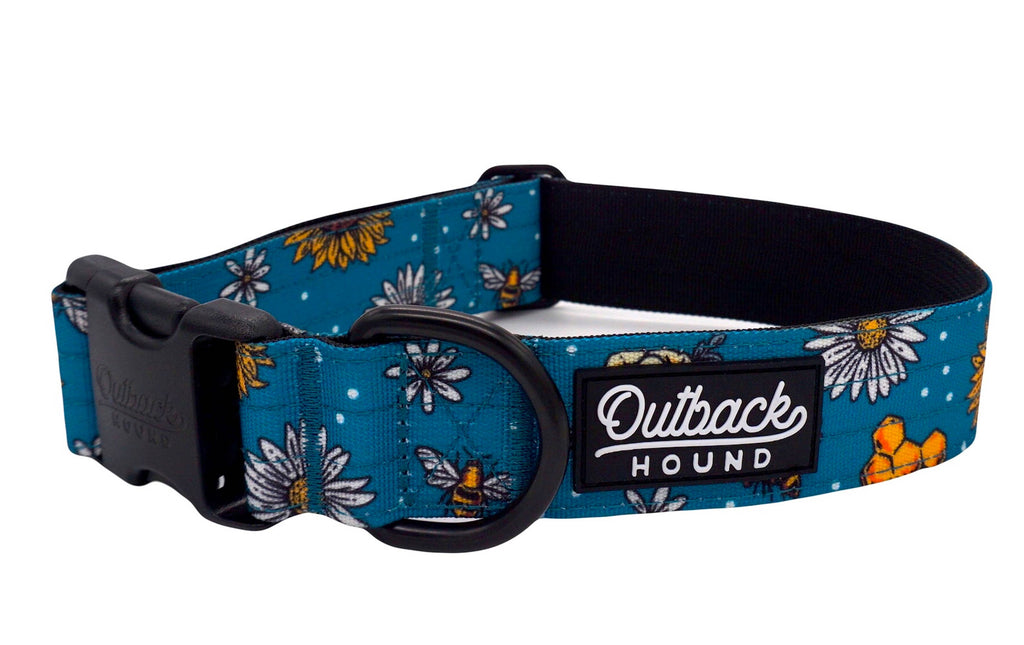 Bees Knees Teal Dog Collar - Dog.Dog.Cat.