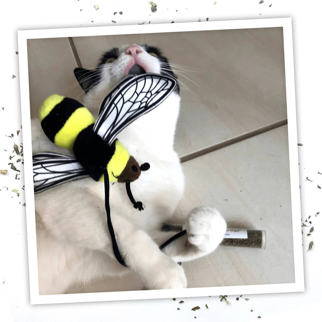 Meowijuana Get Buzzed Bee with Wand Cat Toy - Dog.Dog.Cat.