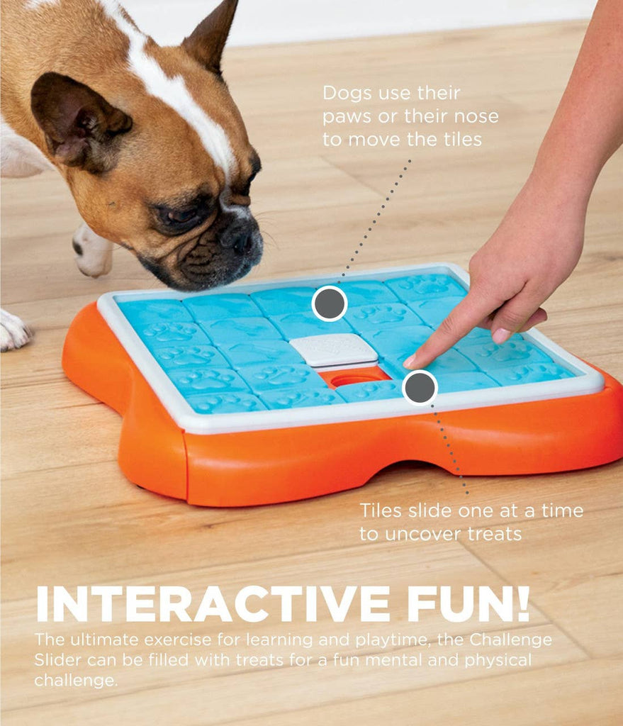 Nina Ottosson Challenge Slider Interactive Treat Dog Puzzle - Dog.Dog.Cat.