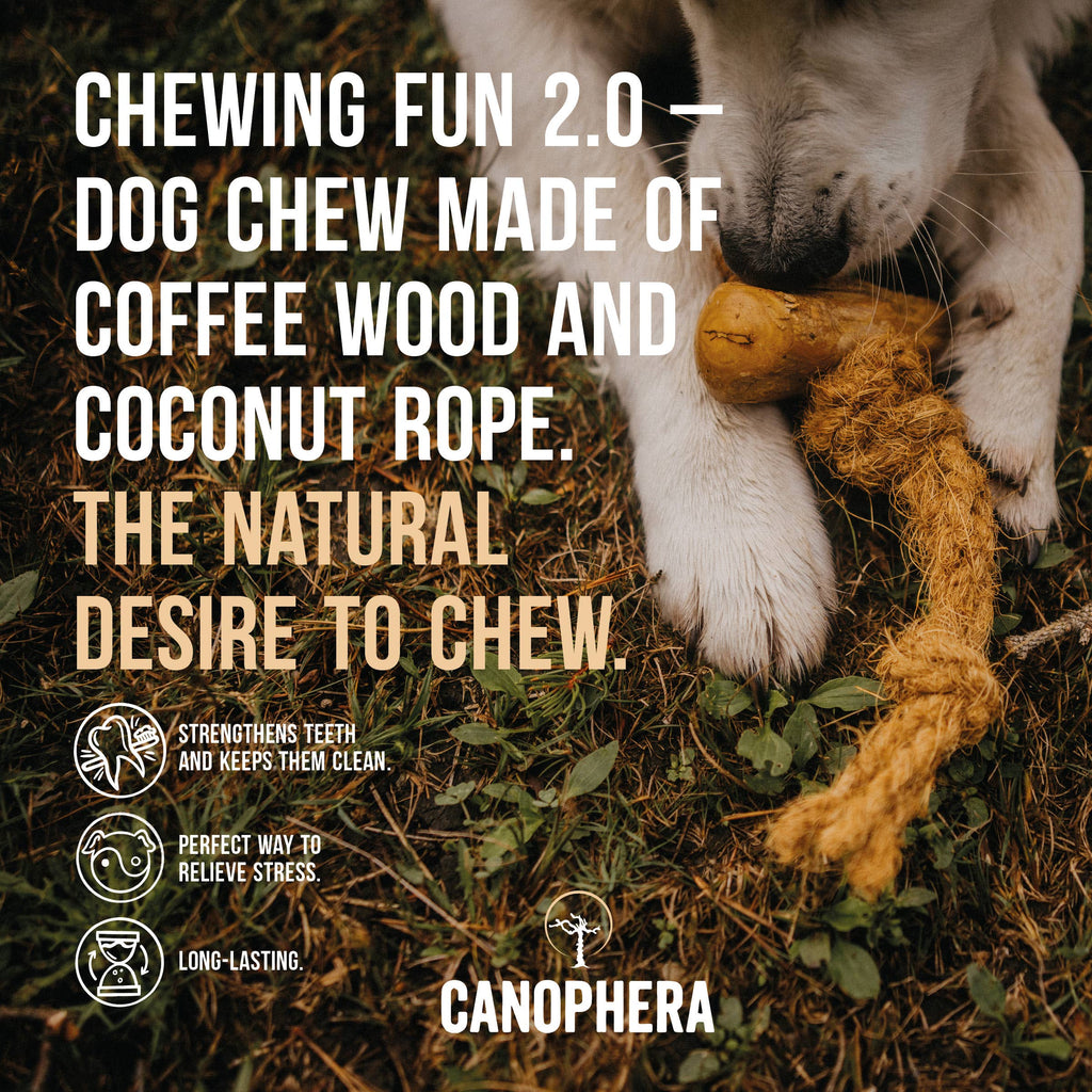 Dog Chew Made of Coffee Wood and Coconut Rope. - Dog.Dog.Cat.
