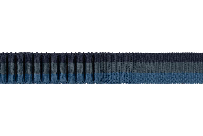 RuffWear Roamer Bungee Leash 2024 - Dog.Dog.Cat.