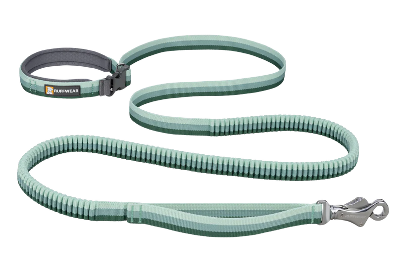 RuffWear Roamer Bungee Leash 2024 - Dog.Dog.Cat.