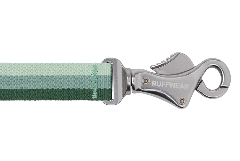 RuffWear Roamer Bungee Leash 2024 - Dog.Dog.Cat.