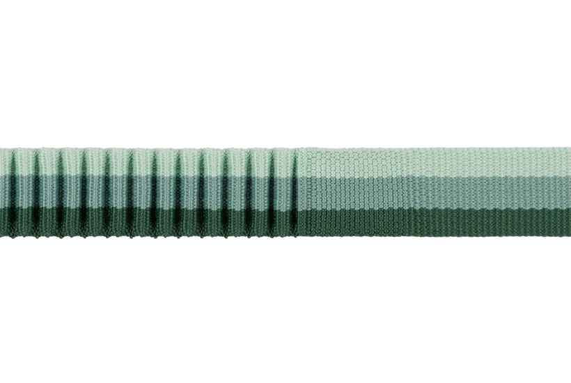 RuffWear Roamer Bungee Leash 2024 - Dog.Dog.Cat.