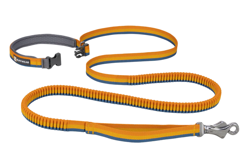 RuffWear Roamer Bungee Leash 2024 - Dog.Dog.Cat.