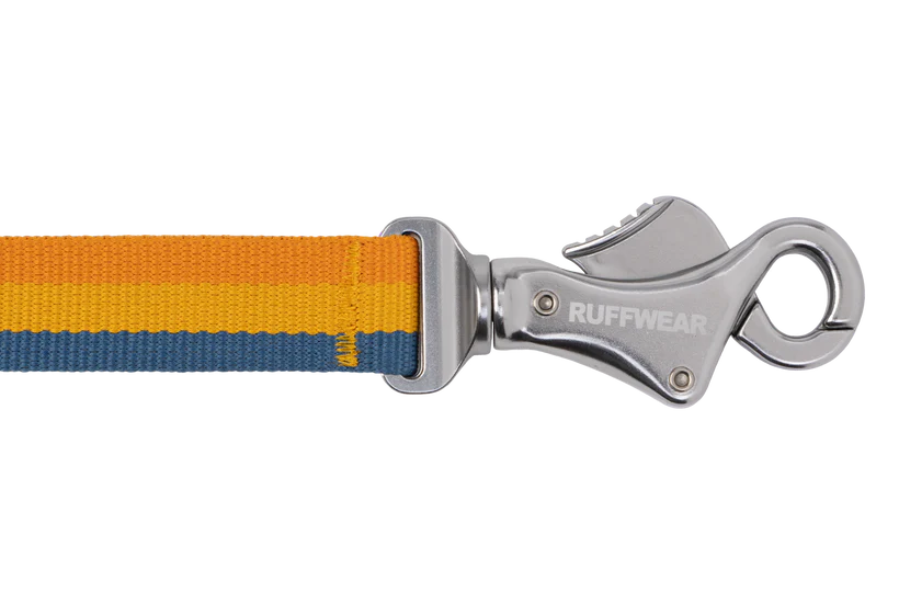 RuffWear Roamer Bungee Leash 2024 - Dog.Dog.Cat.