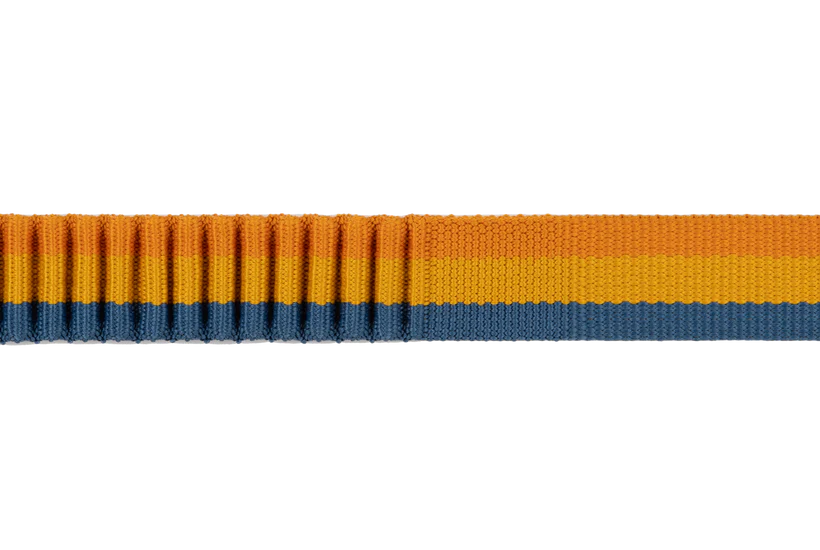 RuffWear Roamer Bungee Leash 2024 - Dog.Dog.Cat.