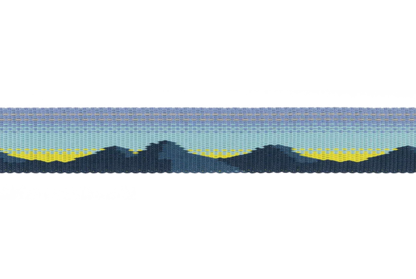 Ruffwear Crag Reflective Dog Leash 2024 - Dog.Dog.Cat.