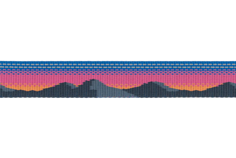 Ruffwear Crag Reflective Dog Leash 2024 - Dog.Dog.Cat.