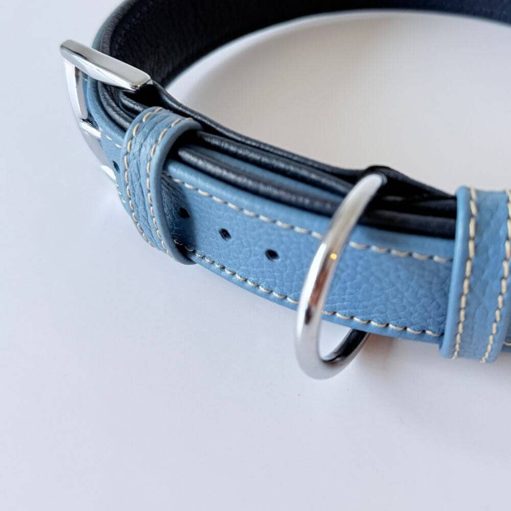 Premium Leather Dog Collar | Turquoise & Navy Blue - Dog.Dog.Cat.