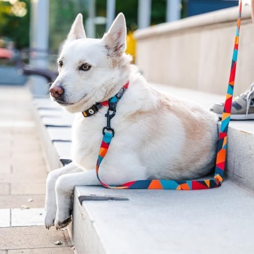ShatterShapes Leash Durable and Stylish for Secure Handling and Control - Dog.Dog.Cat.