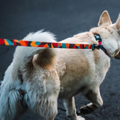 ShatterShapes Leash Durable and Stylish for Secure Handling and Control - Dog.Dog.Cat.