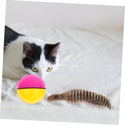 Beavers Ball Dog or Cat Toy - Dog.Dog.Cat.