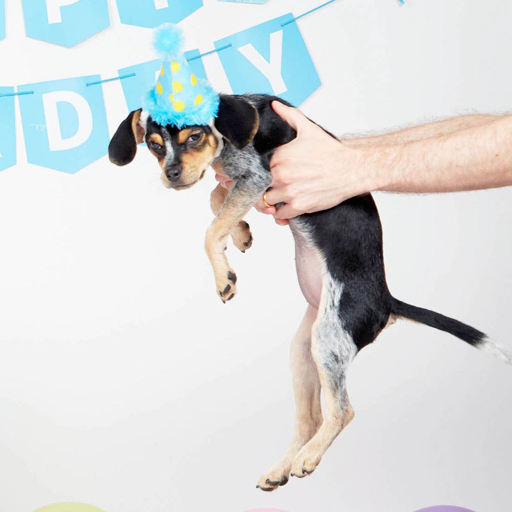 BARK The Party Farter Medium - Dog.Dog.Cat.