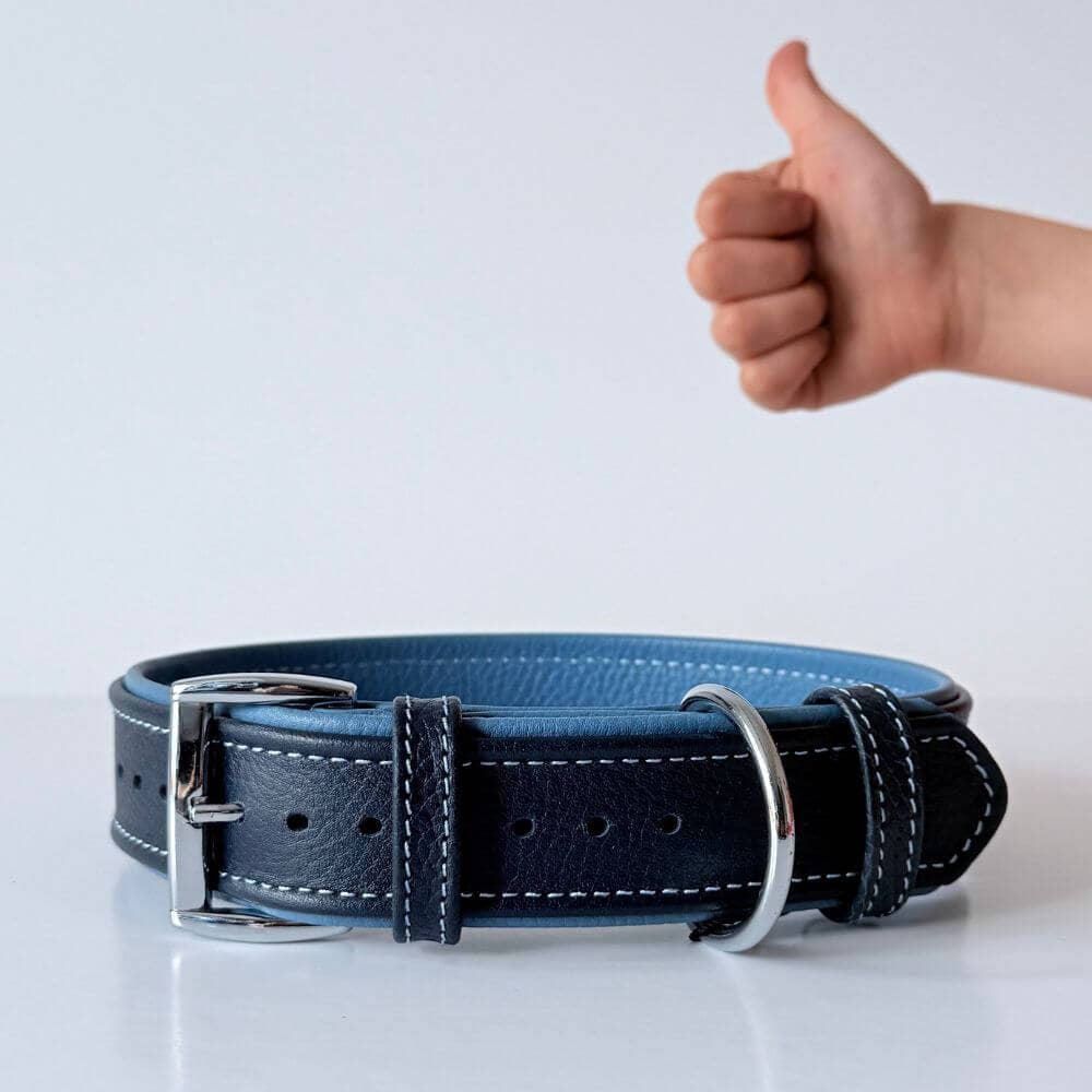 Premium Leather Dog Collar | Navy Blue & Turquoise - Dog.Dog.Cat.