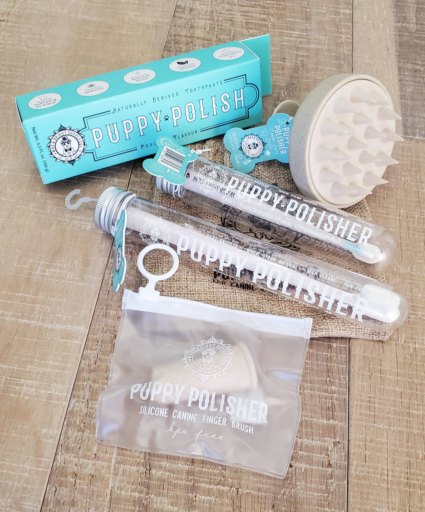 Wag & Bright Supply Co. - Puppy Polish Toothpaste - Filet Mignon (Beef) - Dog.Dog.Cat.