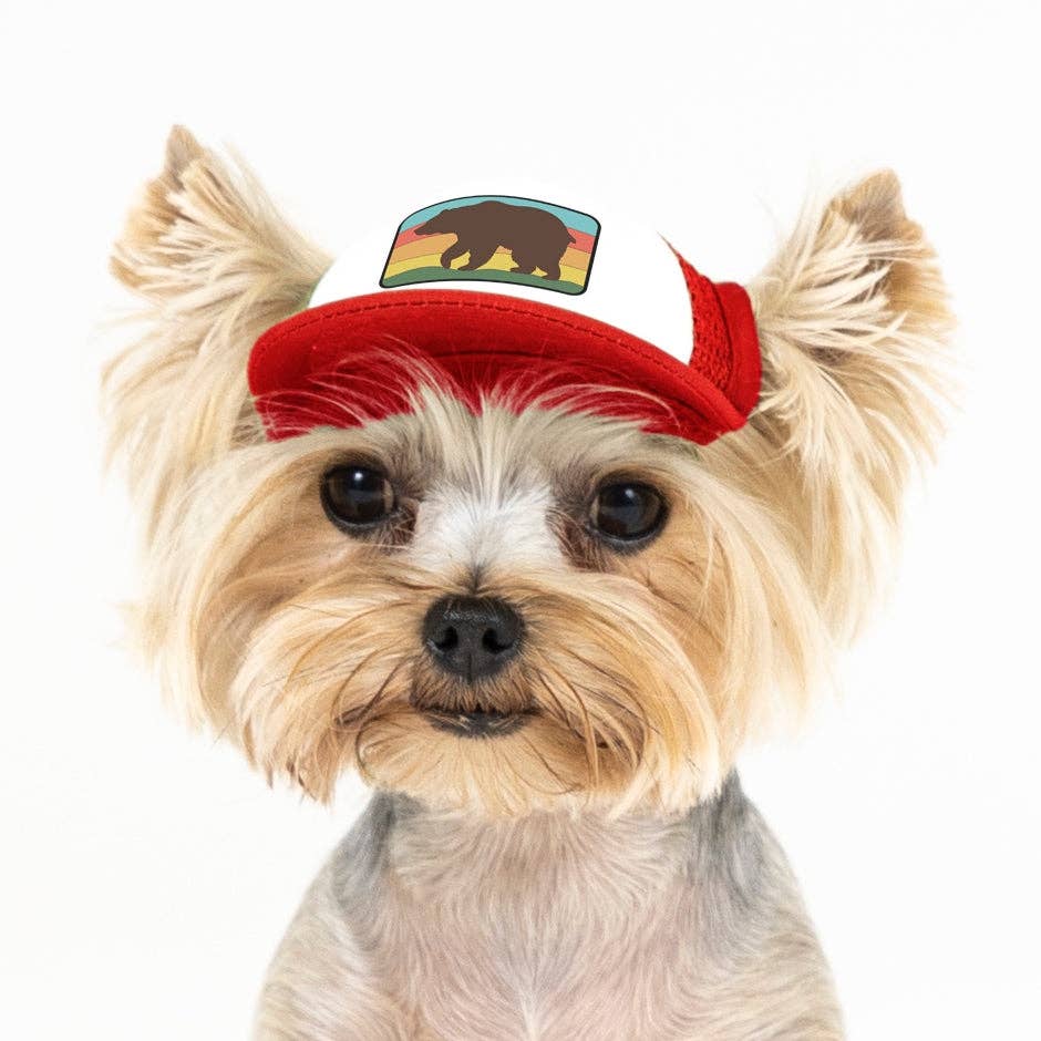 Bear Standard Lake Tahoe | Trucker Hat for Dogs - Dog.Dog.Cat.