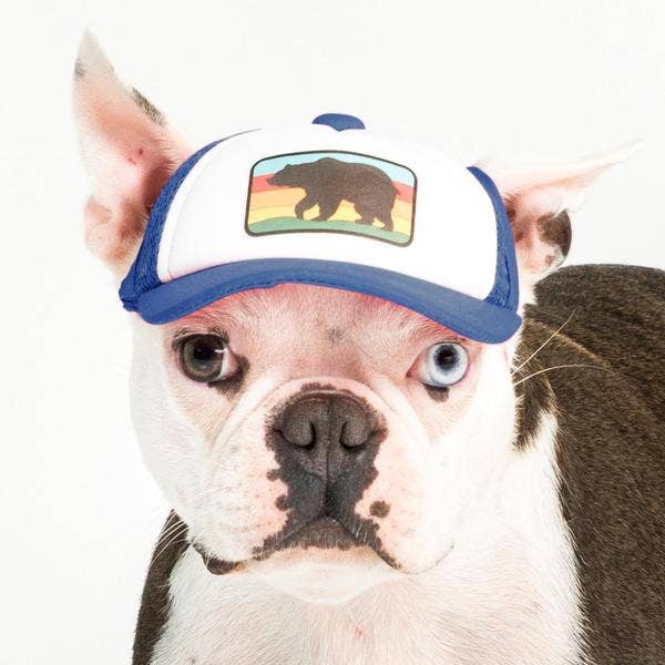 Bear Standard Lake Tahoe | Trucker Hat for Dogs - Dog.Dog.Cat.