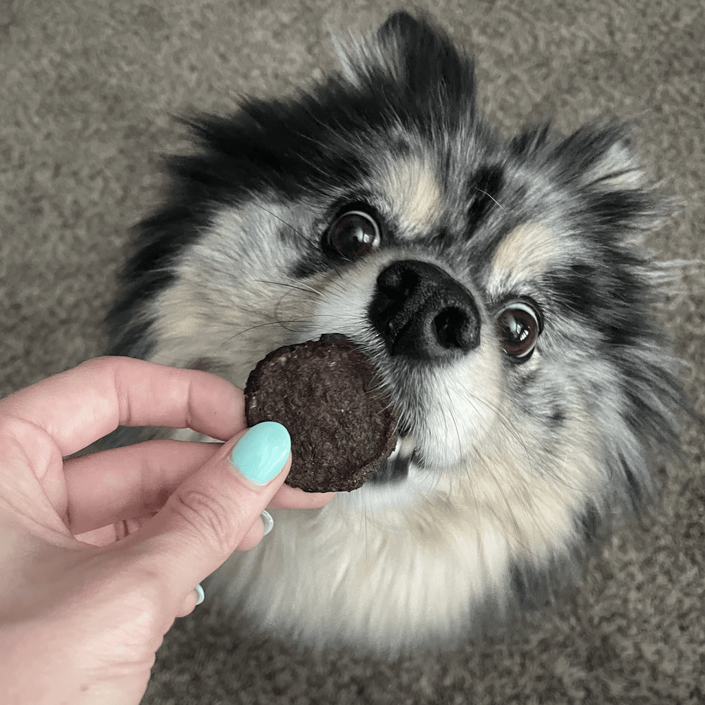 Farm to Pets - Beef Chips Dog Treats - Dog.Dog.Cat.