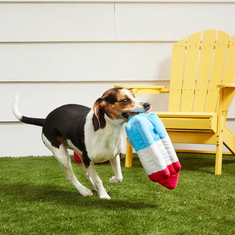 Bark Super Chewer Rocket Pupsicle Dog Toy - Dog.Dog.Cat.