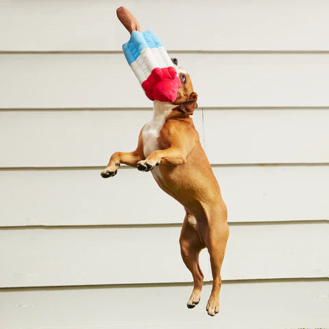 Bark Super Chewer Rocket Pupsicle Dog Toy - Dog.Dog.Cat.