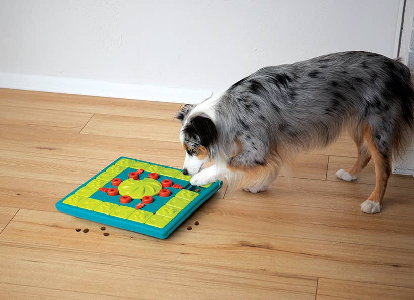 Nina Ottosson MultiPuzzle Interactive Dog Treat Puzzle Toy - Dog.Dog.Cat.