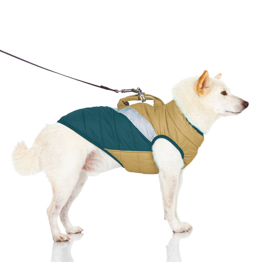Gooby - Mountaineer Jacket #74211 - Dog.Dog.Cat.