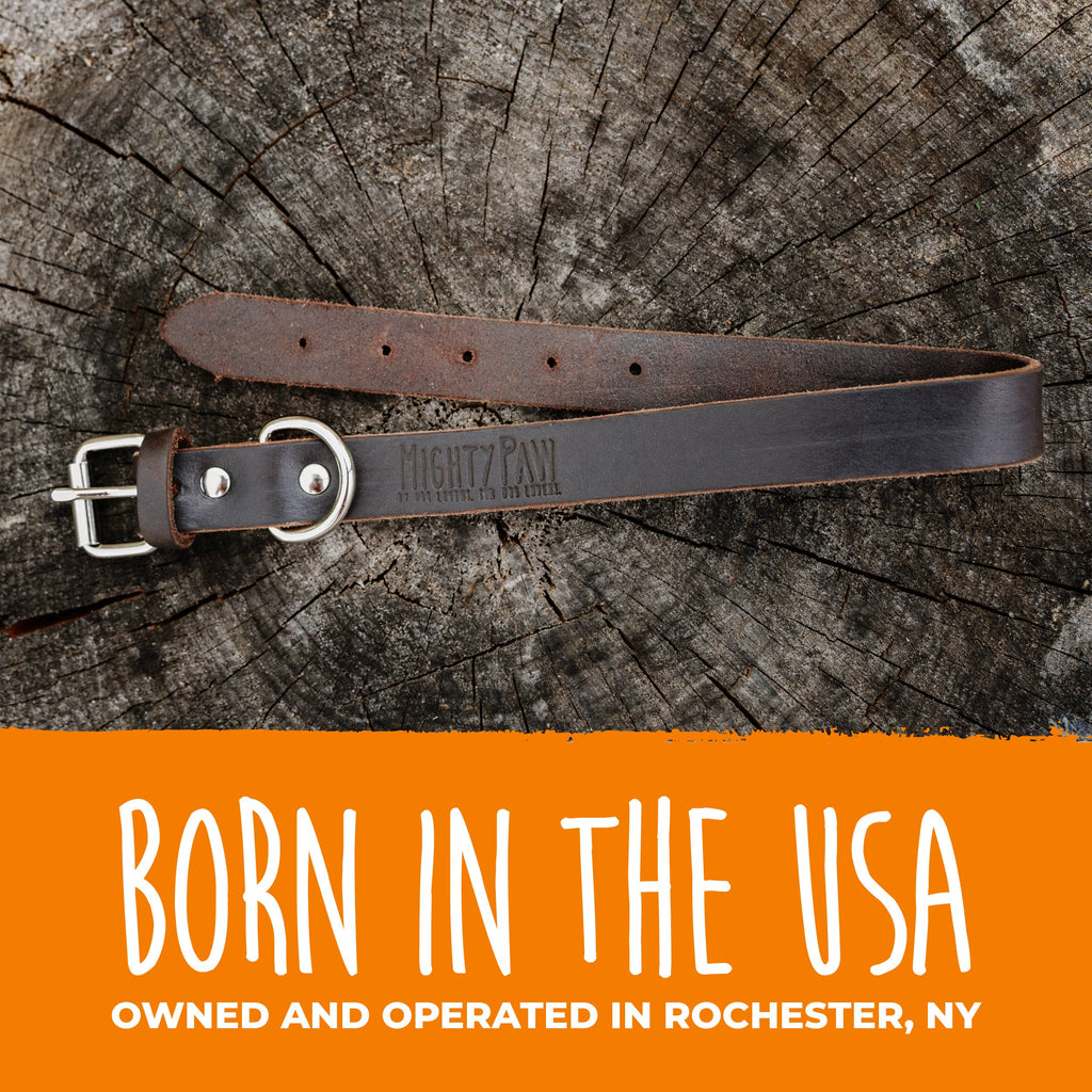 Mighty Paw - Leather Dog Collar - Distressed - Dog.Dog.Cat.