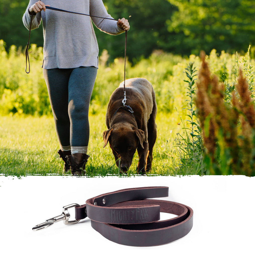 Mighty Paw - Leather Dog Leash (Distressed) - Dog.Dog.Cat.