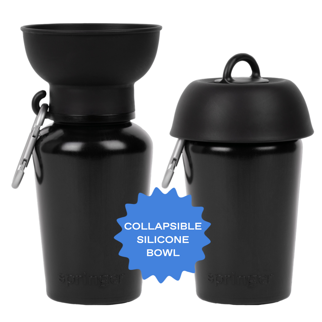 Dog Travel Water Bottle, 20oz, Flip Silicone - Dog.Dog.Cat.