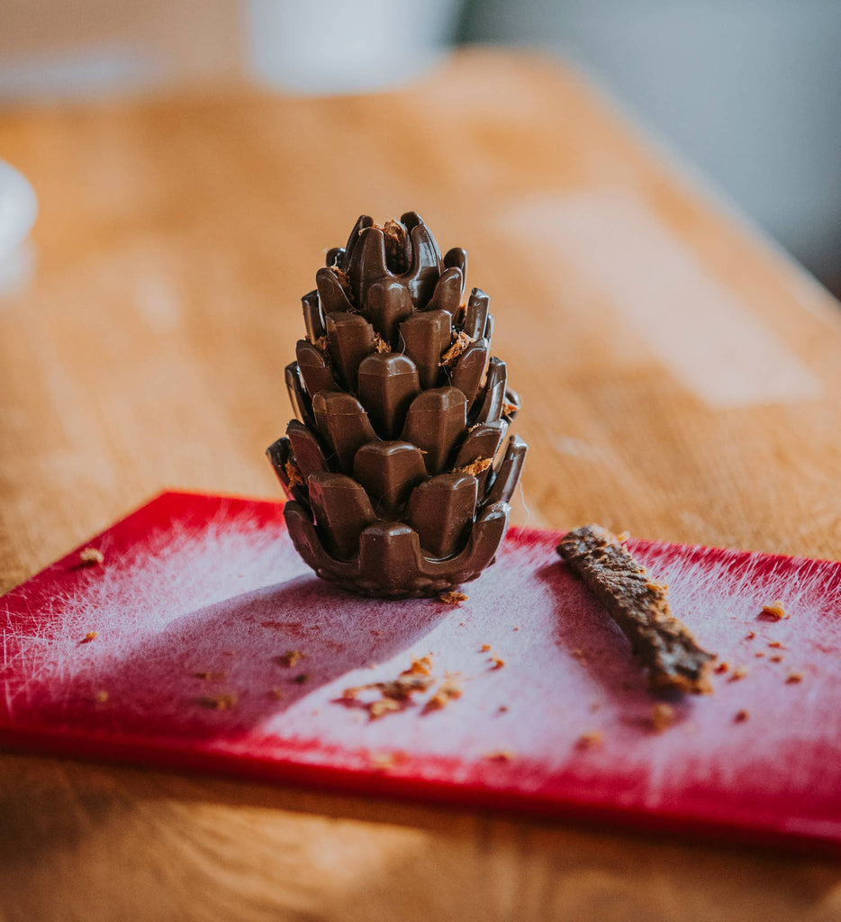 Loblolly Pinecone Puzzle Toy - Dog.Dog.Cat.