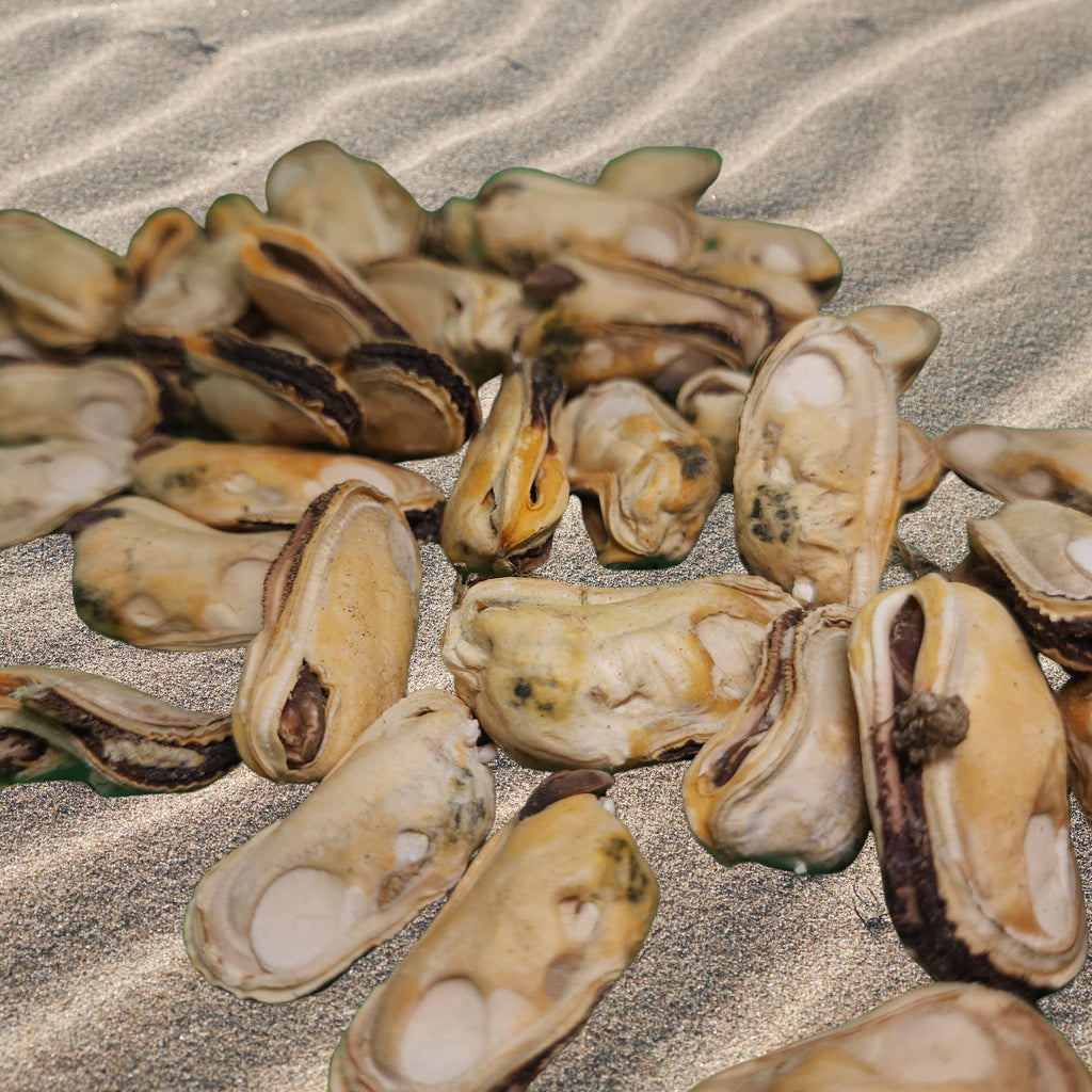 Freeze Dried New Zealand Green Mussel - Dog.Dog.Cat.