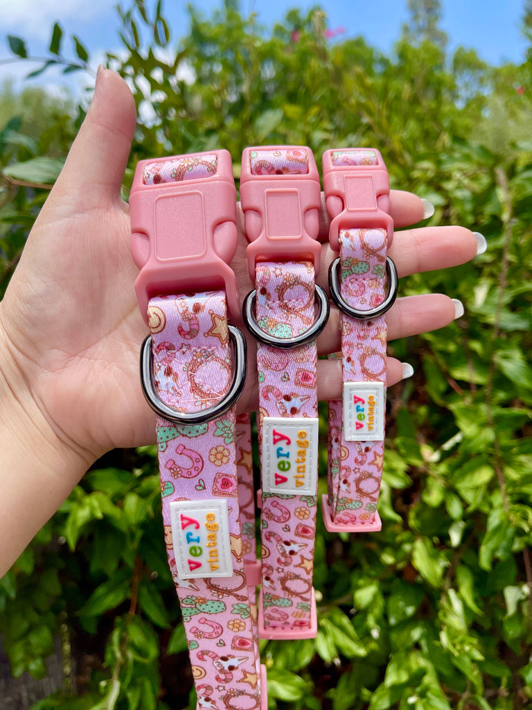 Pink Western Dog Collar – Cactus Cowgirl Lightweight Collar - Dog.Dog.Cat.
