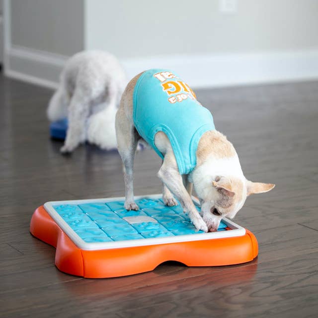 Nina Ottosson Challenge Slider Interactive Treat Dog Puzzle - Dog.Dog.Cat.