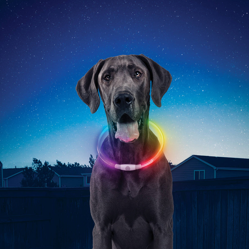 Nite Ize NiteHowl Rechargeable LED Safety Necklace-Disco - Dog.Dog.Cat.