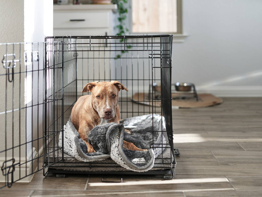 Pet Parents® - Pawtect® Blankets, Waterproof Pet Blankets - Dog.Dog.Cat.