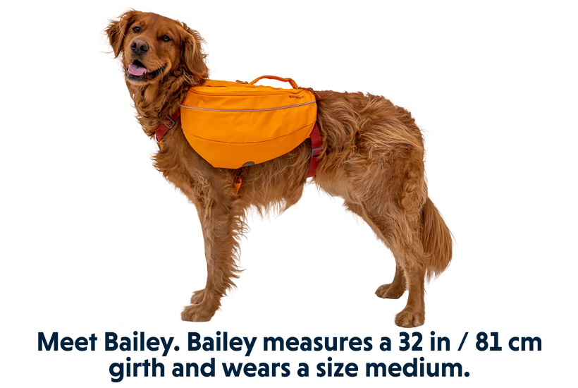 Ruffwear Approach™ Dog Backpack - Dog.Dog.Cat.