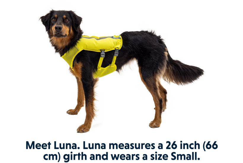 Trail Runner Dog Running Vest