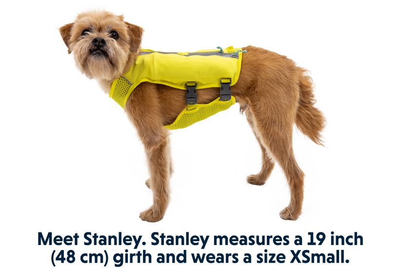 Trail Runner Dog Running Vest - Dog.Dog.Cat.