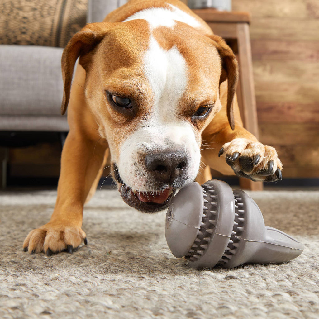 BARK Hare Raiser Rabbit Rubber Super Chewer Dog Toy Grey Med - Dog.Dog.Cat.