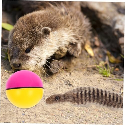 Beavers Ball Dog or Cat Toy - Dog.Dog.Cat.