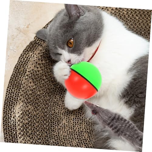 Beavers Ball Dog or Cat Toy - Dog.Dog.Cat.