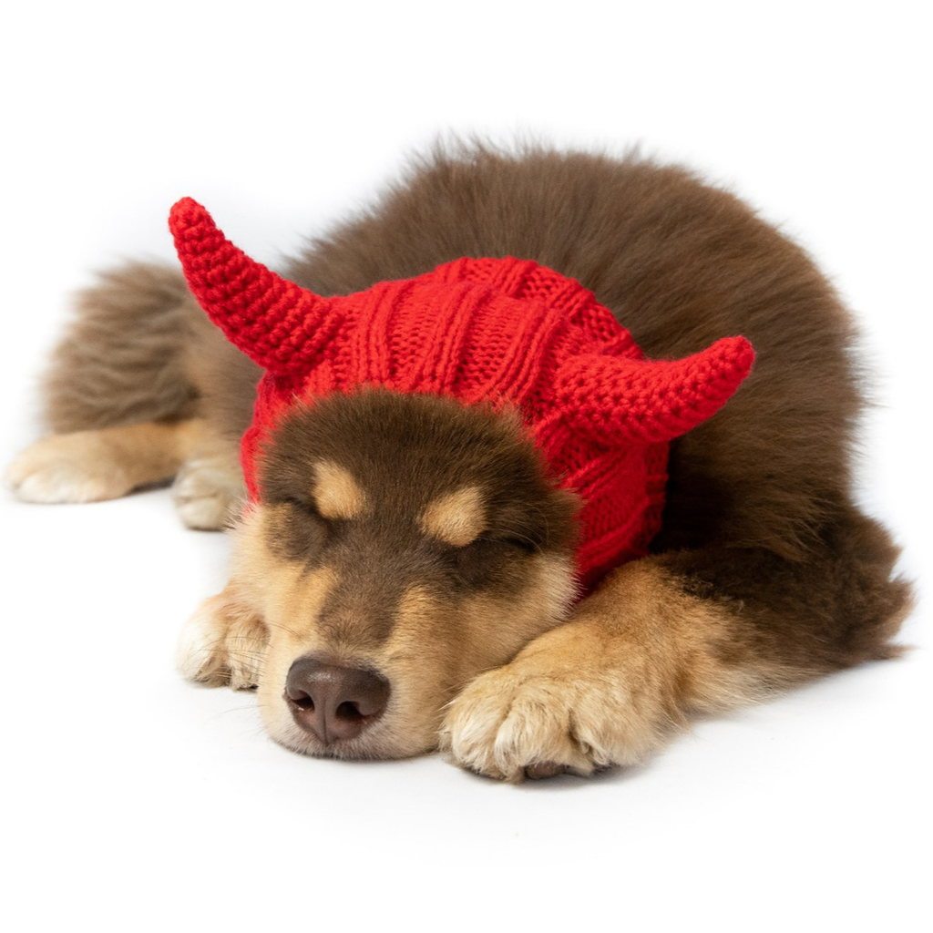 Zoo Snoods - Devil Zoo Snood - Dog.Dog.Cat.