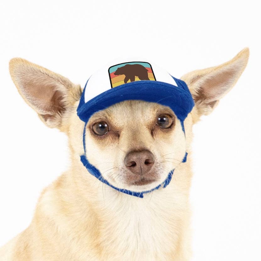 Bear Standard Lake Tahoe | Trucker Hat for Dogs - Dog.Dog.Cat.