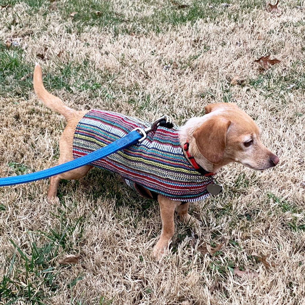 Walking Palm - 100% Hand-Woven Dog Poncho - Bohemian Multicolor - Dog.Dog.Cat.