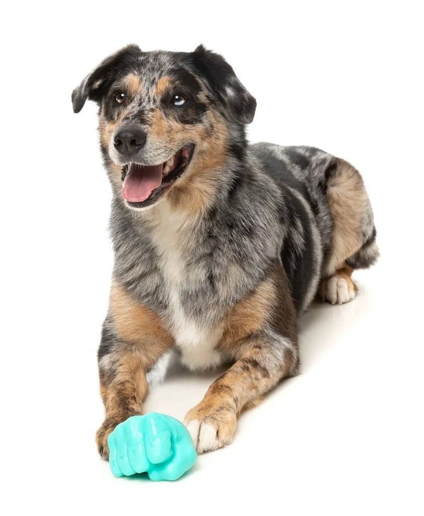 FuzzYard Knuckle Sandwich Dog Chew Toy - Dog.Dog.Cat.