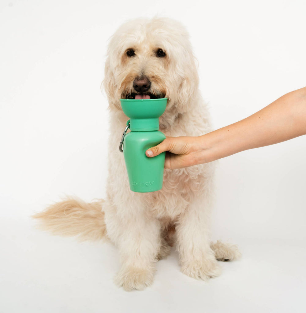 Dog Travel Water Bottle, 20oz, Flip Silicone - Dog.Dog.Cat.