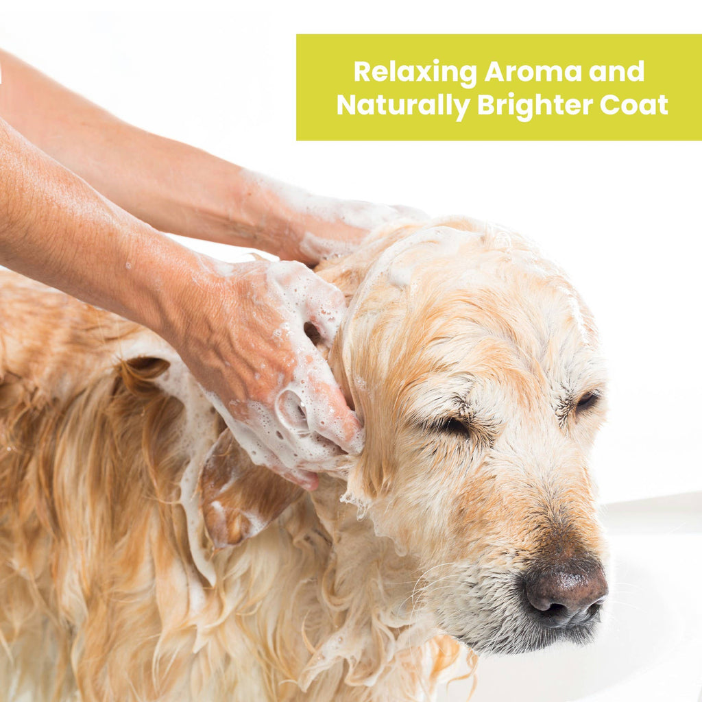 Aroma Paws - 13.5 Oz. Shampoo Lemongrass Vanilla Bean - Dog.Dog.Cat.