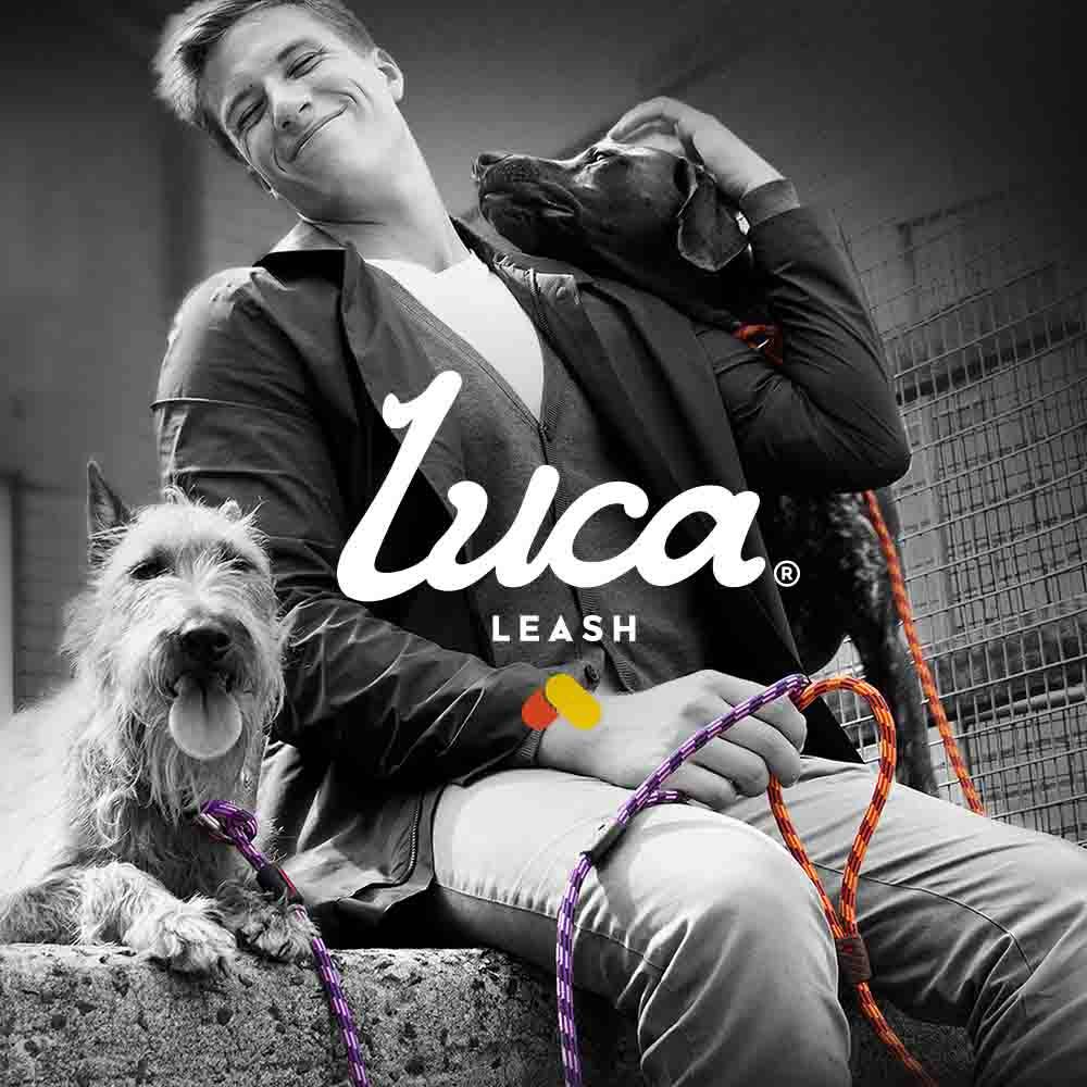 Ezydog Luca Leash - Dog.Dog.Cat.