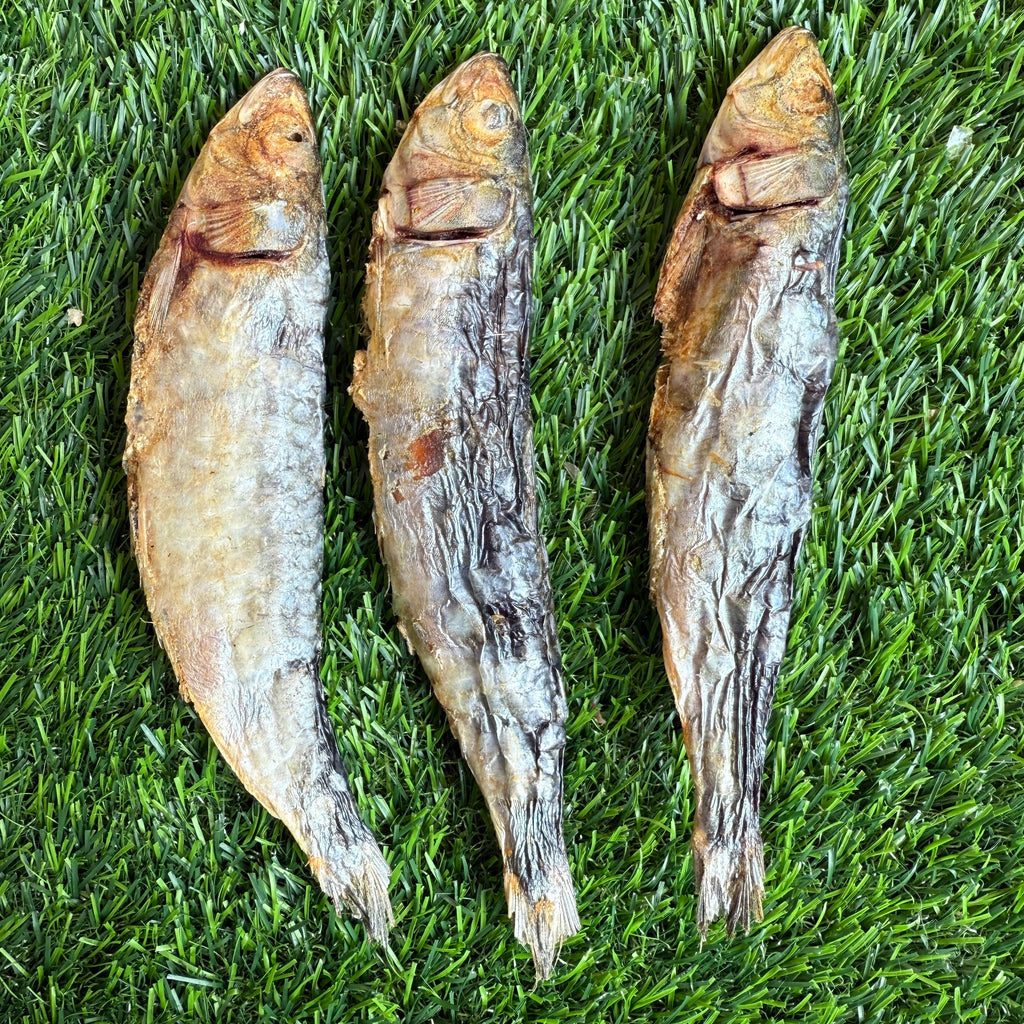 Golden Nibbles - Sardines - 5" to 7" in & Freeze-Dried Treat for Dogs & Cats - Dog.Dog.Cat.